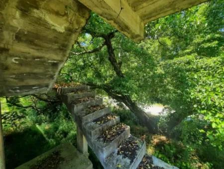 10 000 M2 Grundstück Zum Verkauf Mit Haus In 2-Stöckiger Rohbauweise Zwischen Ortaca Hill Und Muğla Ortaca.