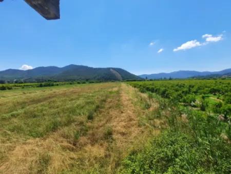 10 000 M2 Grundstück Zum Verkauf Mit Haus In 2-Stöckiger Rohbauweise Zwischen Ortaca Hill Und Muğla Ortaca.