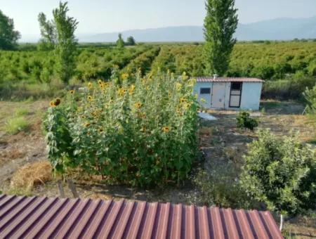 Einfamilienhaus Und Grundstück Zum Verkauf In Muğla Ortaca Tepearası