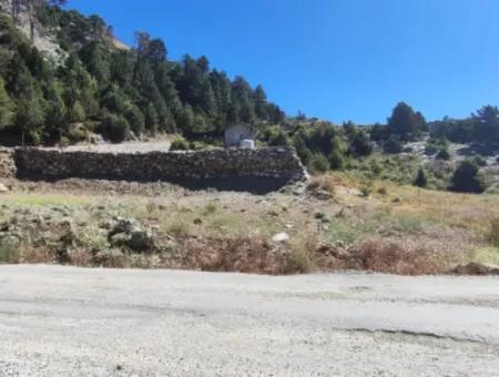 1.522M2 Feld Zum Verkauf Im Çövenli-Plateau Der Region Muğla Köyceğiz Sazak