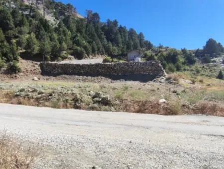 1.522M2 Feld Zum Verkauf Im Çövenli-Plateau Der Region Muğla Köyceğiz Sazak