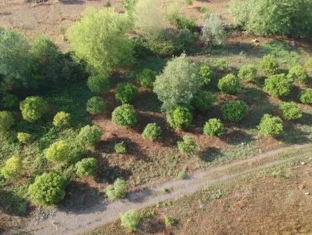 Schnäppchen Grundstück Zum Verkauf Zum Verkauf In Beyobası