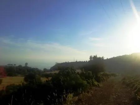 Grundstück Mit Meerblick Zum Verkauf In Boğaziçi Seydikemer