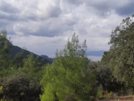 Muğla Dalyan Gökbelde 7 270 M2 Freistehende Eigentumsurkunde Land Mit Meer- Und Seeblick Zum Verkauf