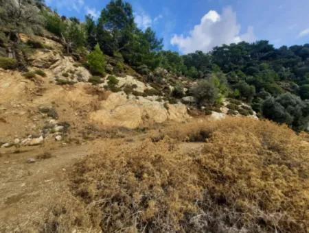 Muğla Dalyan Gökbelde 7 270 M2 Freistehende Eigentumsurkunde Land Mit Meer- Und Seeblick Zum Verkauf