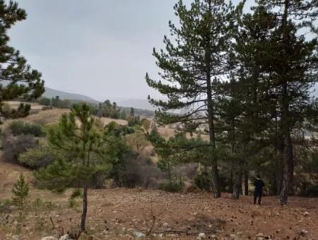 1 900 M2 Freistehendes Schnäppchengrundstück Zum Verkauf In Burdur Gölhisar Yeşildere