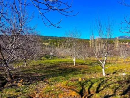 3.278 M² Freistehendes Grundstück Zum Verkauf In Denizli Çameli Cevizli