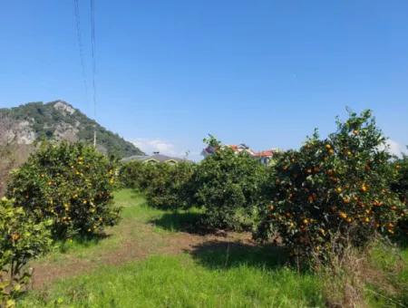 722 M2 Freistehendes Grundstück Zum Kauf In Dalyan, Muğla