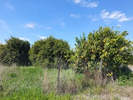 Muğla Ortaca Marmarlıda Berg- Und Naturblick 1 550 M2 Freistehendes Grundstück Zum Verkauf