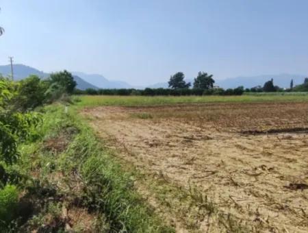 Rızai Taksimli 798 M2 Feld Zum Verkauf In Muğla Ortaca Fevziye Nachbarschaft