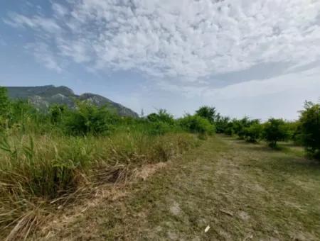 1.500 M2 Freistehendes Feld Zum Verkauf In Dalyan