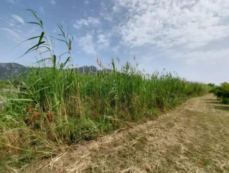 1.500 M2 Freistehendes Feld Zum Verkauf In Dalyan