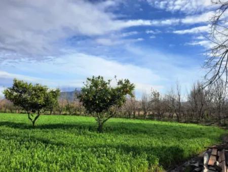 1500 M2 Freistehendes Grundstück In Der Natur Zum Verkauf In Ortaca Okçular