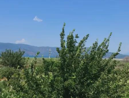 5 850 M2 Freistehendes Grundstück Mit Eigentumsurkunde Mit Seeblick Und Dorfhaus Zum Verkauf In Ortaca Eskiköy