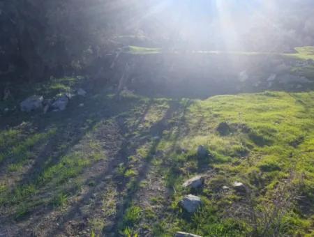 Denizli Çameli Kirazlıyayla Nature View 2 223 M2 Freistehendes Grundstück Zum Verkauf