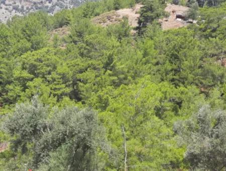 Dalyan Gökbelde See- Und Meerblick Freistehende Eigentumsurkunde Zum Verkauf 82 M2 Land Zum Verkauf