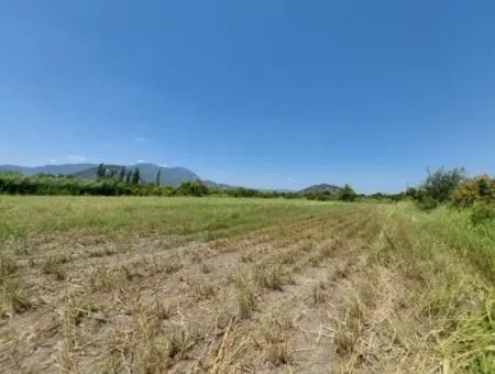 20.600 M2 Land In Ortaca Dalyan, 250 M2 Freistehendes Grundstück Mit Dem Recht, Ein Haus Zu Bauen, Stehen Zum Verkauf