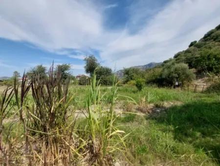 Fruchtbares 1.680 M2 Land Am Berghang Zum Verkauf In Dalyan, Muğla