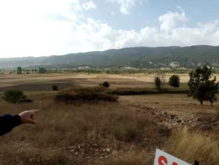 2603 M2 Feld Zum Verkauf In Denizli Çameli Belevi Nachbarschaft