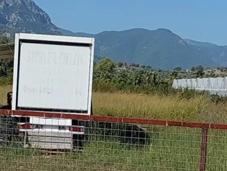 Grundstück Und 2 In 1 Containerhaus Zum Verkauf An Der Dalyan Eskiköy Farm Road