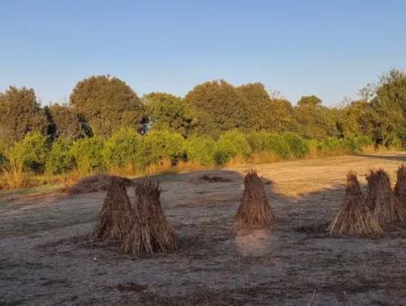 3 700 M2 Grundstück Zum Verkauf An Der Hauptstraße In Muğla Ortaca Kemaliye