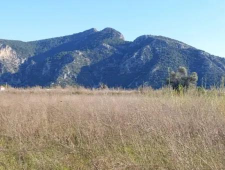 4.800 M2 Grundstück Zum Verkauf In Muğla Ortaca Dalyan