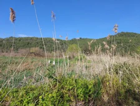 Fruchtbares 6.350 M2 Land Zum Verkauf In Muğla Ortaca Güzelyurt