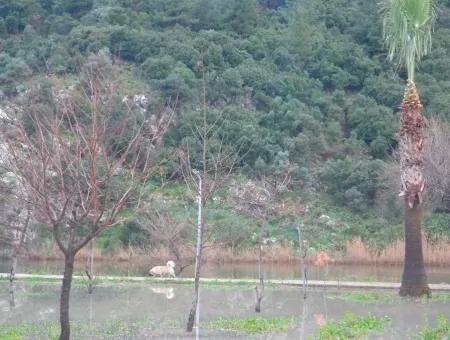 Tourismus-Zonen Grundstücke Zum Verkauf In Dalyan, Nahe Dem Kanal