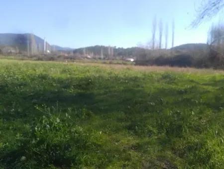 Land Zum Verkauf In Bargain Detached Zeytinalani