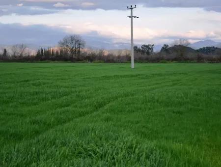 Freistehende Fruchtbare Schnäppchen Land Zum Verkauf In Ortaca Mergenli