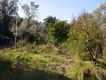 Freistehendes Haus Im Dorf Zum Verkauf In Fethiye Kadıköy