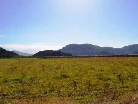 Bauernhof Zum Verkauf Schnäppchen In Dalyan