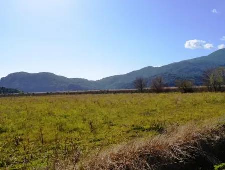 Bauernhof Zum Verkauf Schnäppchen In Dalyan