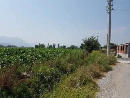 3000 M2 Grundstück Geeignet Für Investitionen Zum Verkauf In Mugla Ortaca Bogenschützen