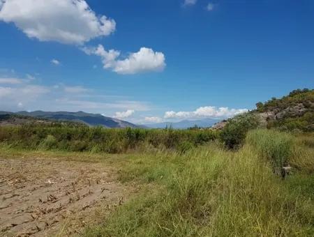 Fruchtbares Land Zum Verkauf In Famagusta Schnäppchen