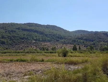 Fruchtbares Land Zum Verkauf In Famagusta Schnäppchen