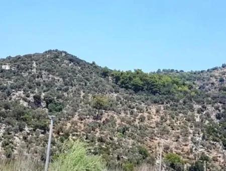 Grundstück Mit Meerblick Zum Verkauf In Mugla Dalaman Kapıkargın