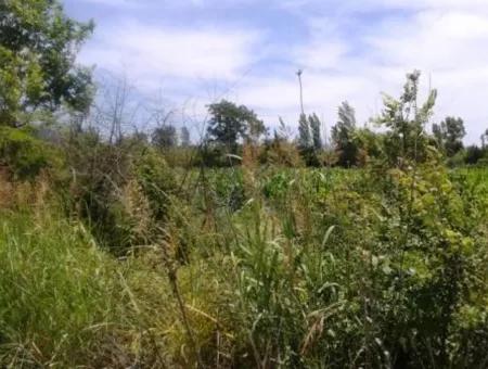 Oriya Land In Der Nähe Der Hauptstraße Zum Verkauf In Fethiye