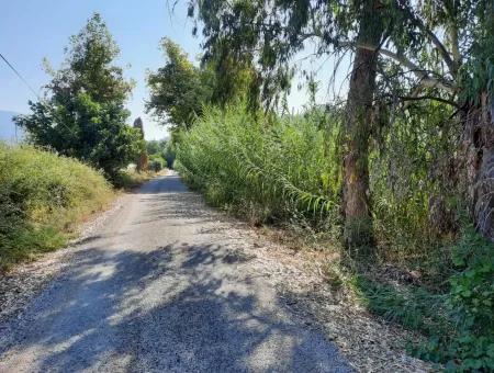 Weinberg Garten Zoning Land Zu Verkaufen In Gocek Inlice