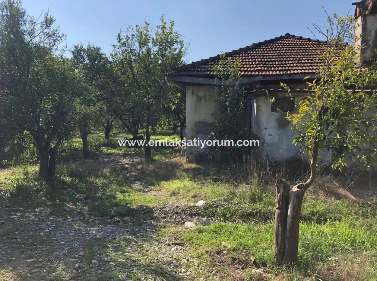 Land And Old Village House For Sale In Köyceeğiz Fire