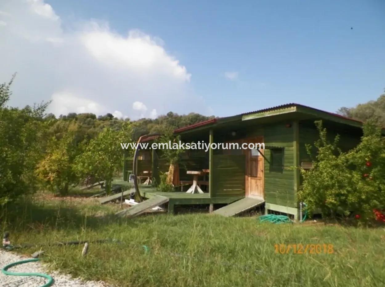 12 000 M2 Farm For Sale Certified Organic Agriculture Oriya Eskiköy