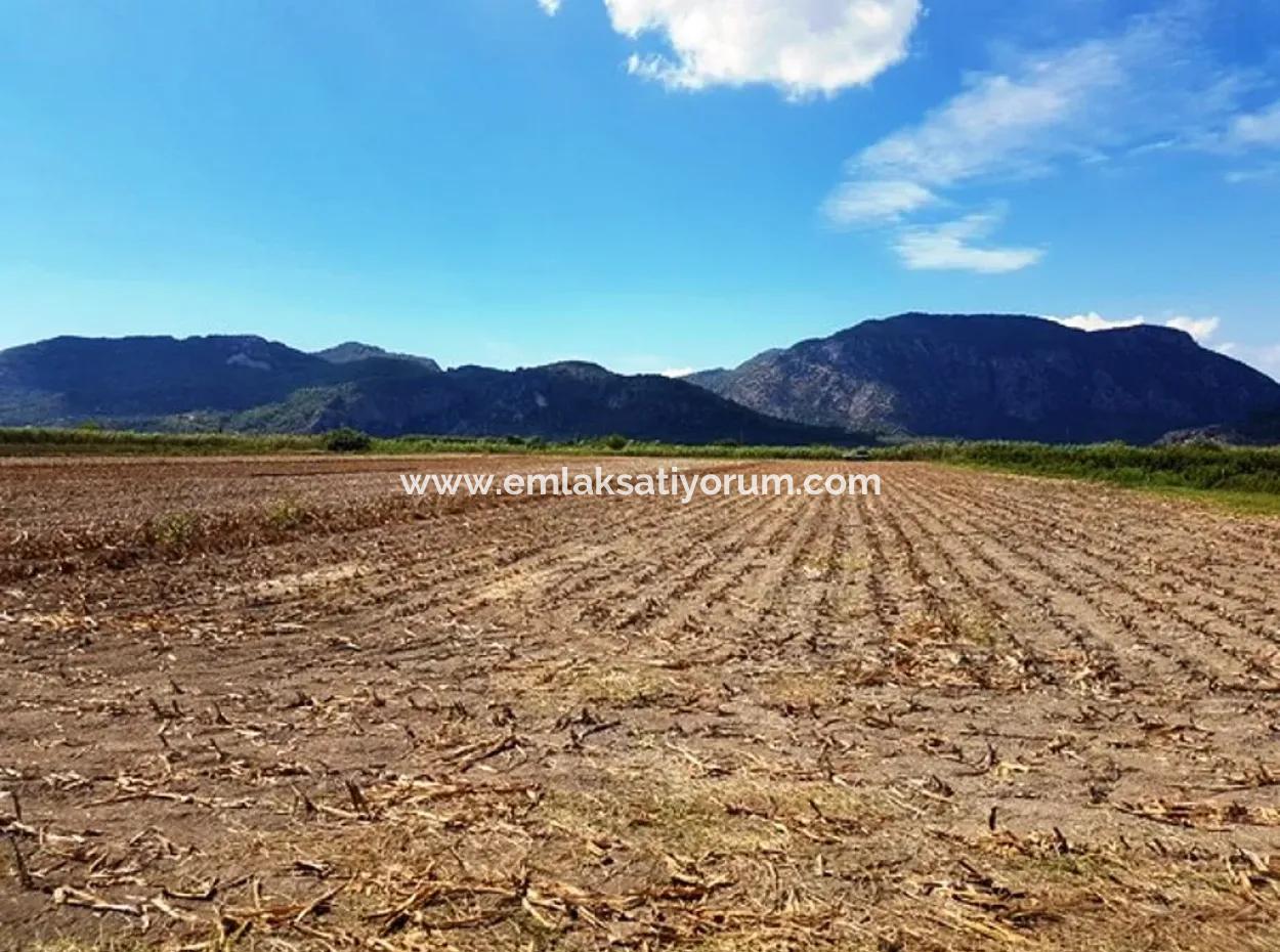 Fertile Bargain Land For Sale In Muğla Ortaca Güzelyurt