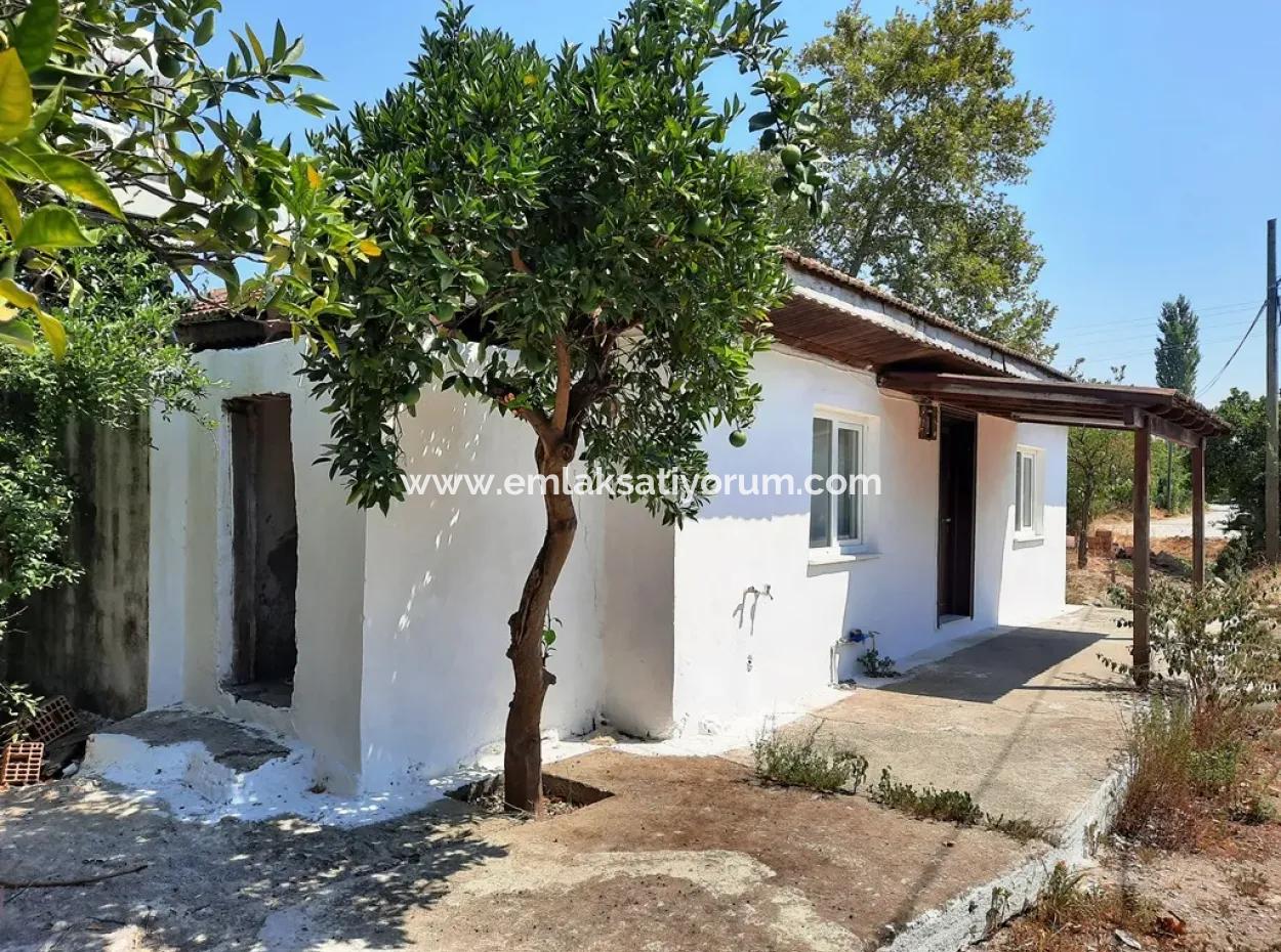 Village House With Detached Belongings For Rent In Köyceğinz Village