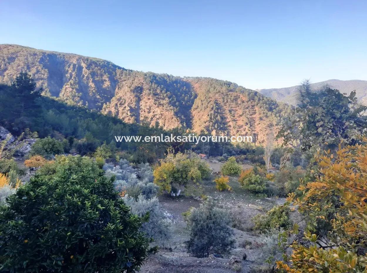 Mugla Dalaman Narli 1800 M2 Bargain Land For Sale