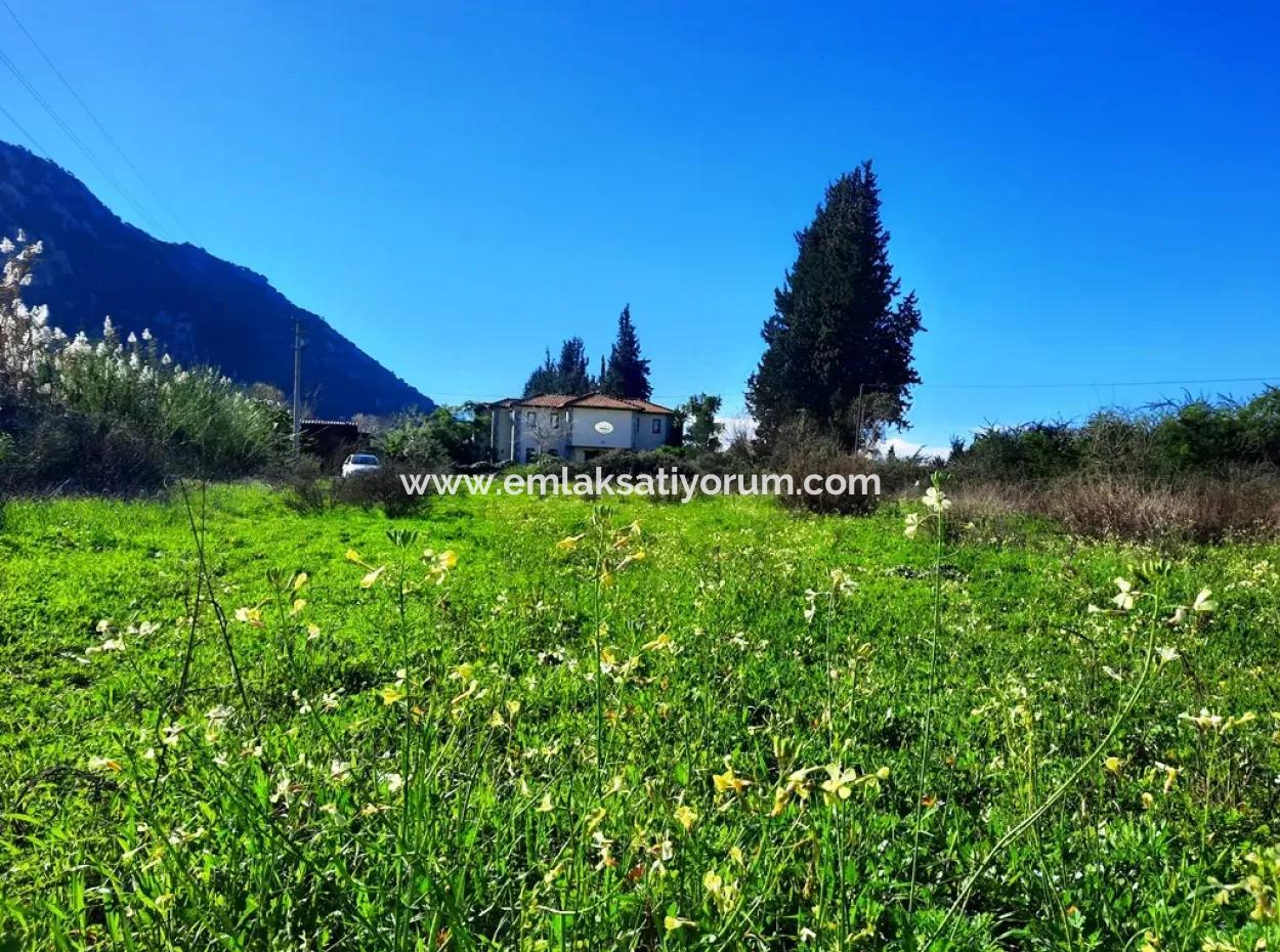 Mugla Ortaca Dalyan Is Also Fertile Land Suitable For 9 300 M2 Investment With Road Facades For Sale