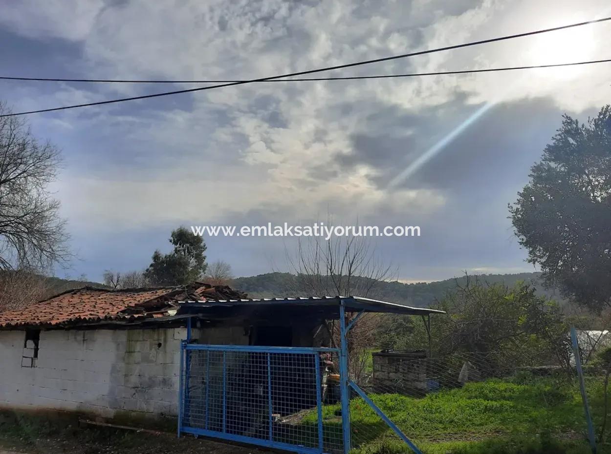 Zoning Land For Sale Near The Lake In Köyceğinz Zeytinalan