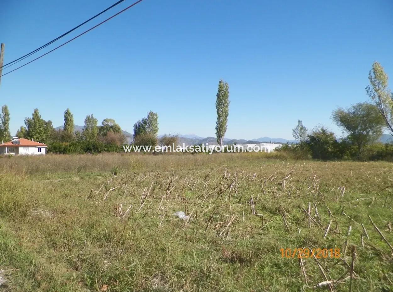 Oriya Dalakli Also Plot 1000 M2 Land For Sale Bargain