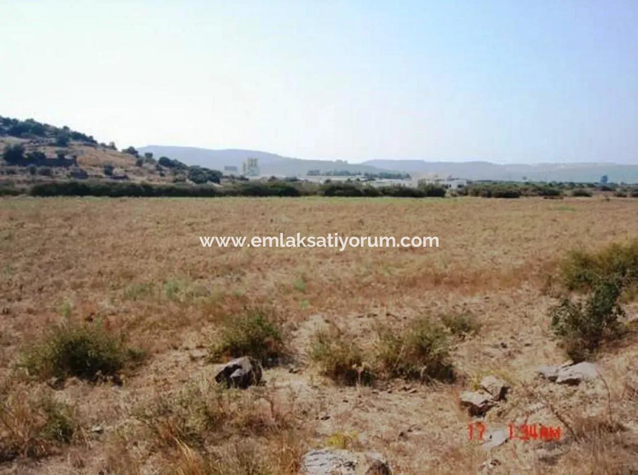 Mugla Milas Farm 10 000 M2 Land For Immediate Sale