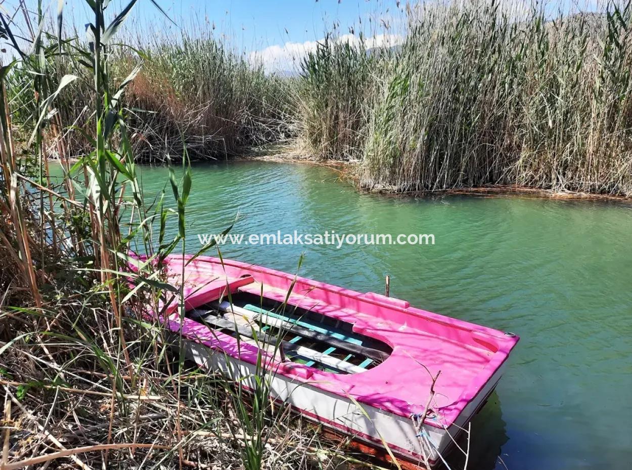 Mugla Dalyan Pomegranate Garden Suitable For Zero Investment In The Canal For Sale