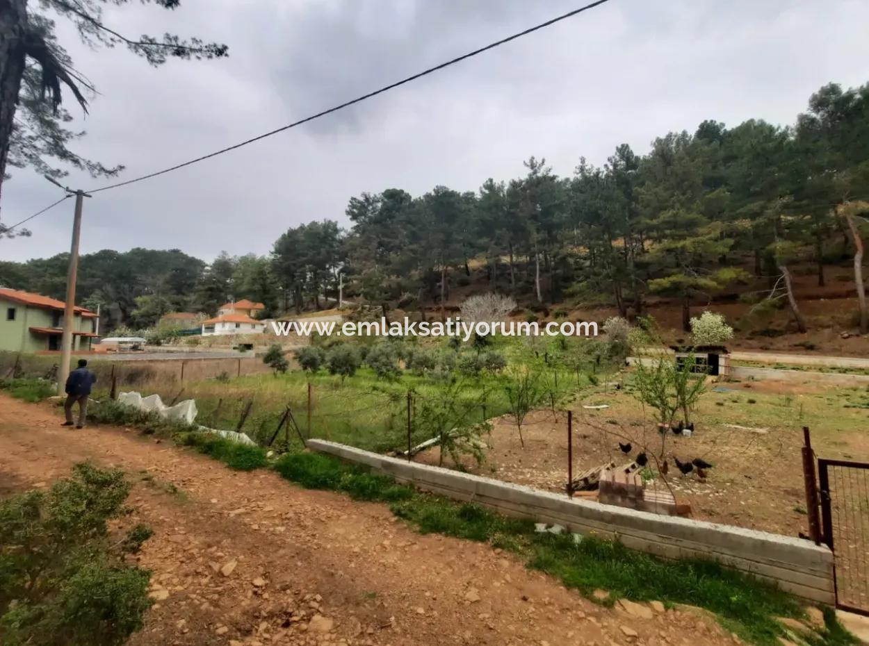 Köyceğinz Agla Yayla Opportunity 1050 M2 Zoning Land For Sale